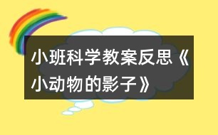 小班科學教案反思《小動物的影子》