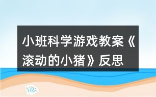 小班科學(xué)游戲教案《滾動的小豬》反思