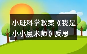 小班科學(xué)教案《我是小小魔術(shù)師》反思