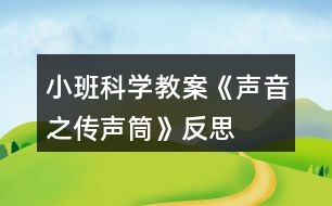 小班科學(xué)教案《聲音之傳聲筒》反思