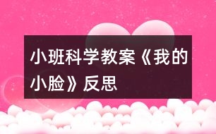 小班科學教案《我的小臉》反思