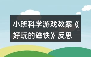 小班科學(xué)游戲教案《好玩的磁鐵》反思