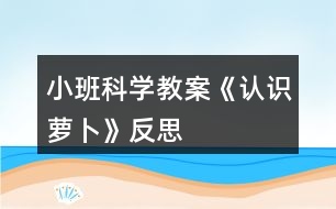 小班科學教案《認識蘿卜》反思