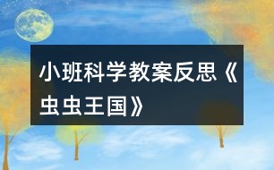 小班科學(xué)教案反思《蟲蟲王國》