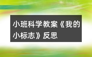 小班科學(xué)教案《我的小標(biāo)志》反思