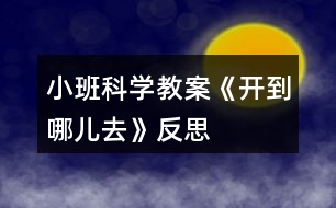 小班科學(xué)教案《開到哪兒去》反思