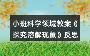 小班科學(xué)領(lǐng)域教案《探究溶解現(xiàn)象》反思