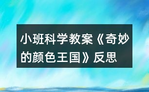 小班科學(xué)教案《奇妙的顏色王國》反思