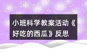 小班科學教案活動《好吃的西瓜》反思