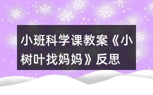 小班科學(xué)課教案《小樹(shù)葉找媽媽》反思