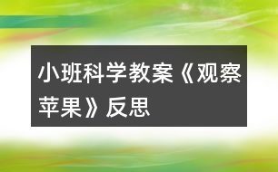 小班科學(xué)教案《觀察蘋果》反思