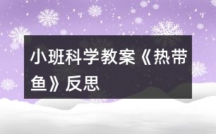 小班科學教案《熱帶魚》反思