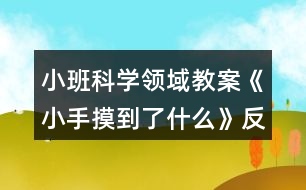 小班科學(xué)領(lǐng)域教案《小手摸到了什么》反思