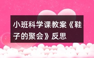 小班科學課教案《鞋子的聚會》反思