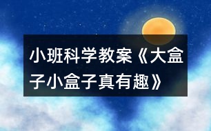 小班科學教案《大盒子、小盒子真有趣》反思