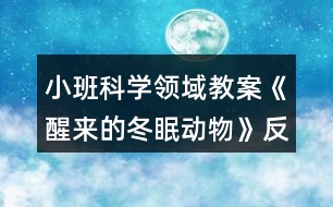 小班科學(xué)領(lǐng)域教案《醒來的冬眠動(dòng)物》反思