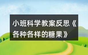 小班科學(xué)教案反思《各種各樣的糖果》