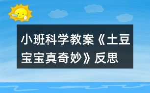 小班科學(xué)教案《土豆寶寶真奇妙》反思