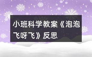 小班科學(xué)教案《泡泡飛呀飛》反思