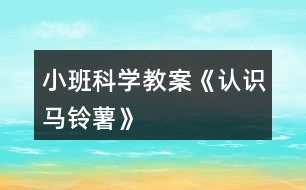 小班科學(xué)教案《認識馬鈴薯》