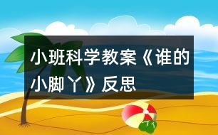 小班科學(xué)教案《誰的小腳丫》反思