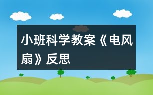 小班科學教案《電風扇》反思