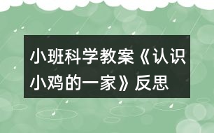 小班科學(xué)教案《認(rèn)識小雞的一家》反思