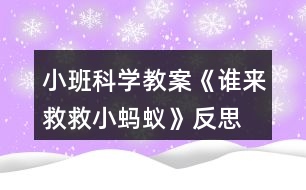 小班科學(xué)教案《誰(shuí)來(lái)救救小螞蟻》反思