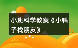 小班科學教案《小鴨子找朋友》