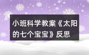 小班科學(xué)教案《太陽(yáng)的七個(gè)寶寶》反思