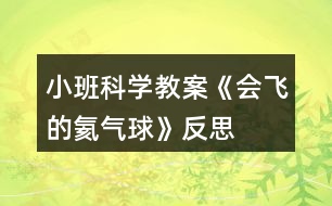 小班科學(xué)教案《會飛的氦氣球》反思