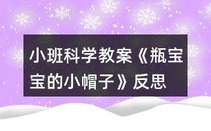 小班科學教案《瓶寶寶的小帽子》反思