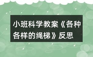 小班科學(xué)教案《各種各樣的繩梯》反思