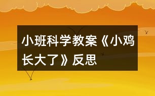 小班科學教案《小雞長大了》反思