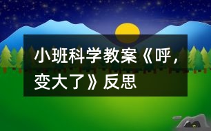 小班科學(xué)教案《呼，變大了》反思