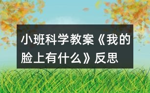 小班科學教案《我的臉上有什么》反思