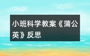 小班科學(xué)教案《蒲公英》反思