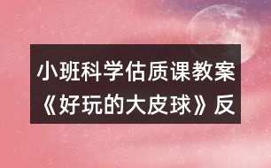 小班科學(xué)估質(zhì)課教案《好玩的大皮球》反思