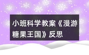 小班科學(xué)教案《漫游糖果王國》反思