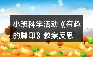 小班科學活動《有趣的腳印》教案反思