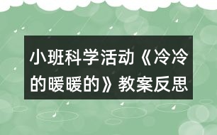 小班科學(xué)活動《冷冷的暖暖的》教案反思