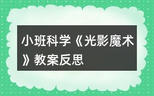 小班科學(xué)《光影魔術(shù)》教案反思