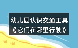 幼兒園認(rèn)識(shí)交通工具《它們?cè)谀睦镄旭偂沸“嗫茖W(xué)教案特征分類反思