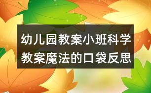 幼兒園教案小班科學(xué)教案魔法的口袋反思