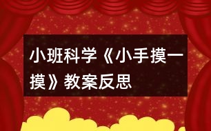 小班科學《小手摸一摸》教案反思