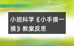 小班科學(xué)《小手摸一摸》教案反思