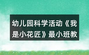 幼兒園科學活動《我是小花匠》最小班教案