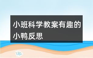 小班科學教案有趣的小鴨反思