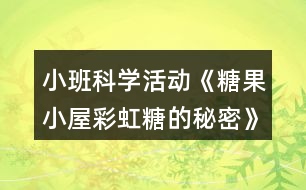 小班科學(xué)活動《糖果小屋彩虹糖的秘密》教學(xué)設(shè)計反思