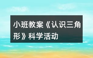 小班教案《認識三角形》科學(xué)活動